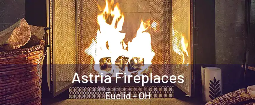  Astria Fireplaces Euclid - OH