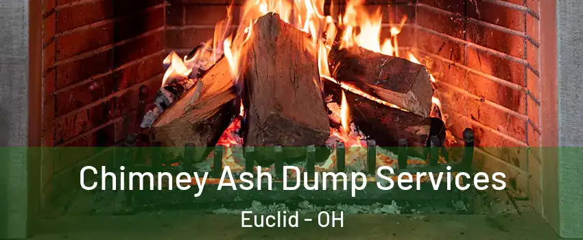 Chimney Ash Dump Services Euclid - OH