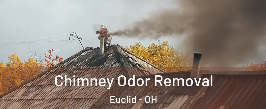  Chimney Odor Removal Euclid - OH