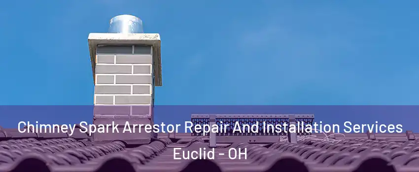  Chimney Spark Arrestor Repair And Installation Services Euclid - OH