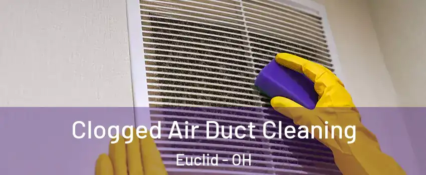  Clogged Air Duct Cleaning Euclid - OH