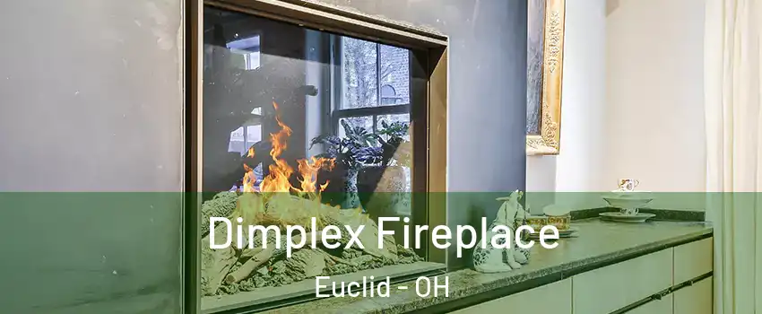  Dimplex Fireplace Euclid - OH