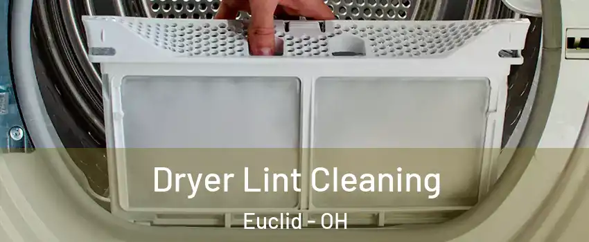  Dryer Lint Cleaning Euclid - OH