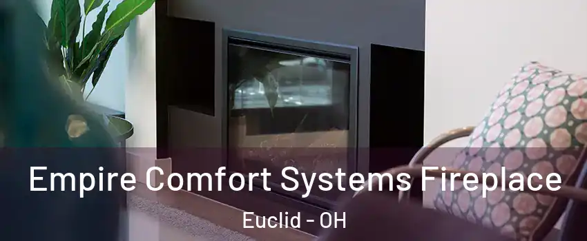  Empire Comfort Systems Fireplace Euclid - OH