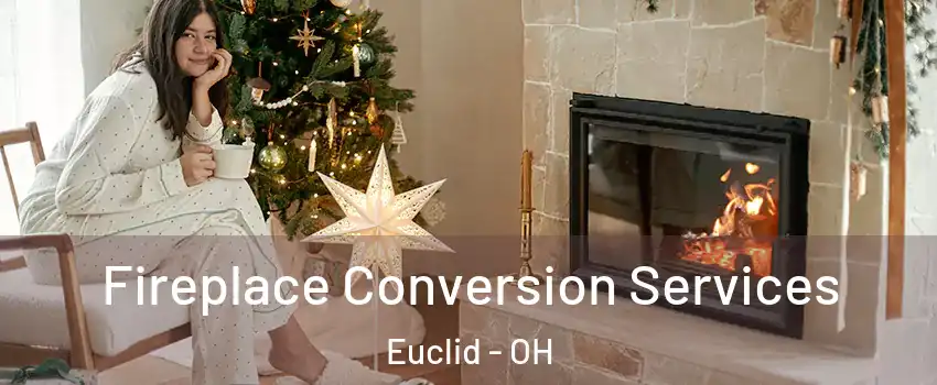  Fireplace Conversion Services Euclid - OH