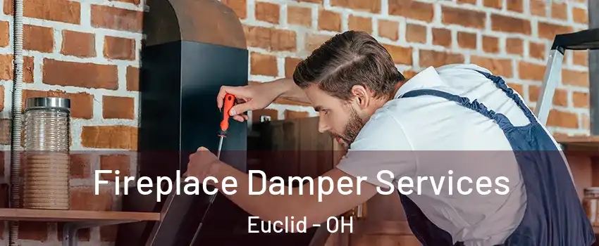  Fireplace Damper Services Euclid - OH
