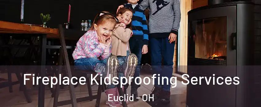  Fireplace Kidsproofing Services Euclid - OH