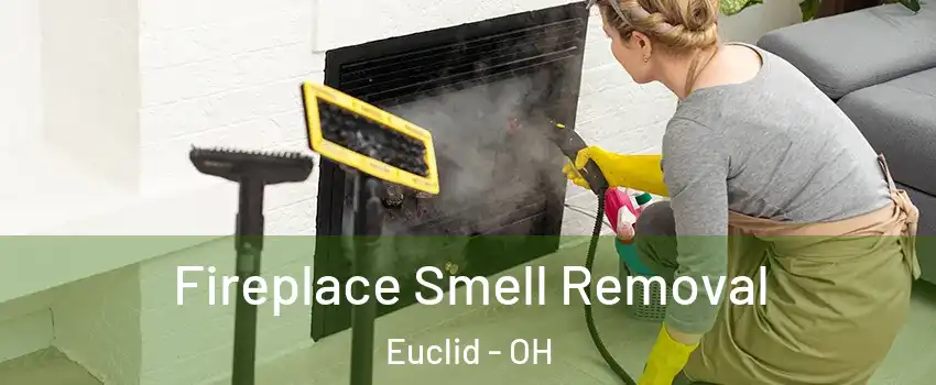 Fireplace Smell Removal Euclid - OH