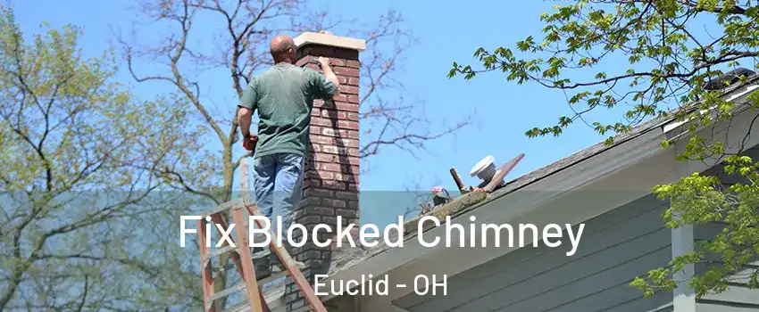  Fix Blocked Chimney Euclid - OH