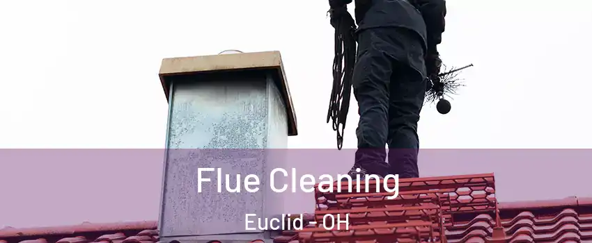  Flue Cleaning Euclid - OH