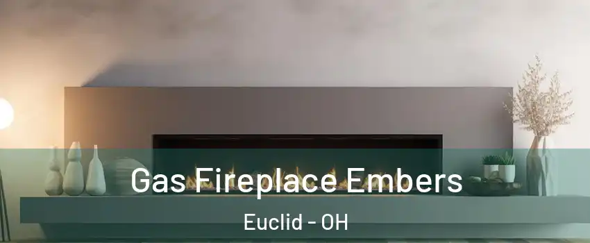  Gas Fireplace Embers Euclid - OH