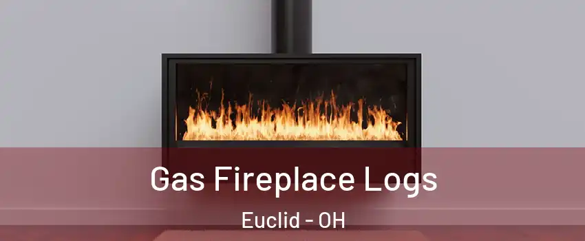  Gas Fireplace Logs Euclid - OH