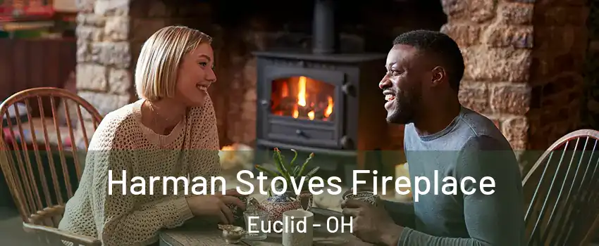  Harman Stoves Fireplace Euclid - OH