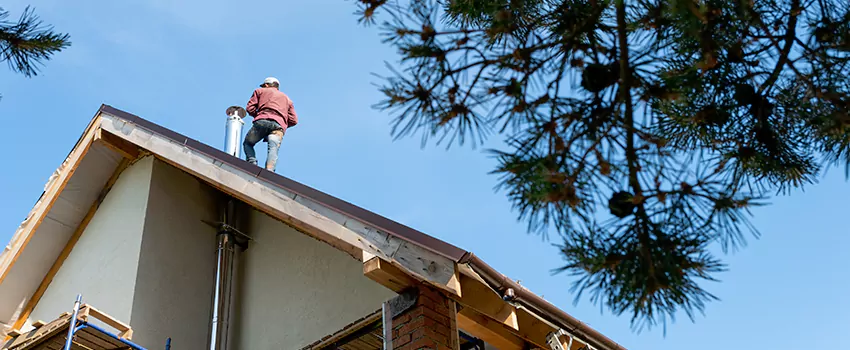 Birds Removal Contractors from Chimney in Euclid, OH