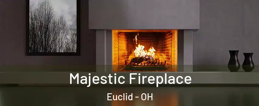  Majestic Fireplace Euclid - OH