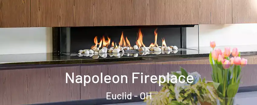  Napoleon Fireplace Euclid - OH