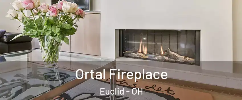 Ortal Fireplace Euclid - OH