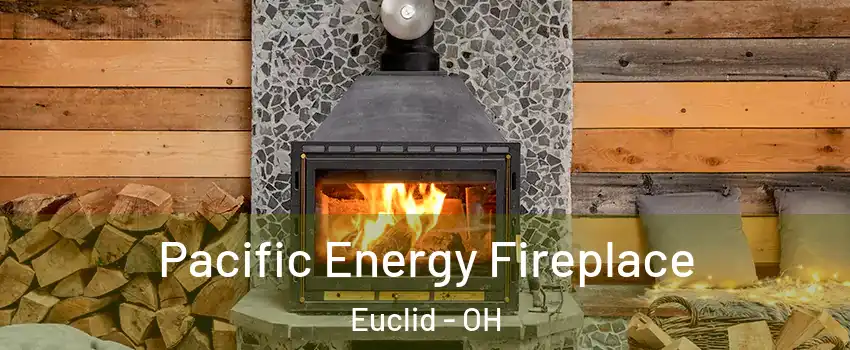  Pacific Energy Fireplace Euclid - OH