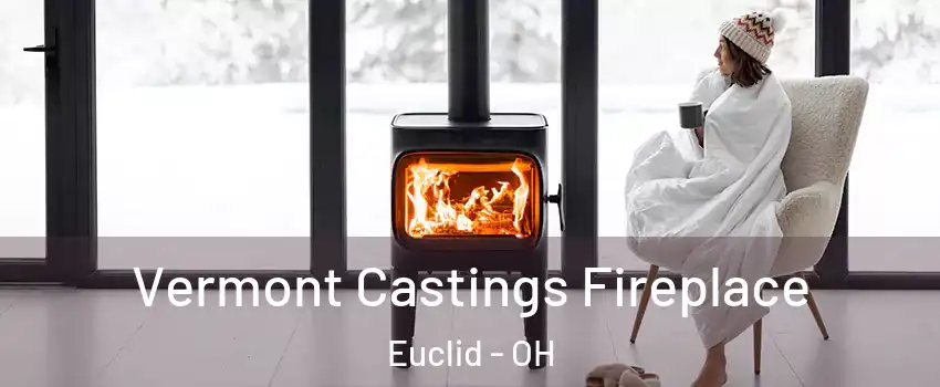  Vermont Castings Fireplace Euclid - OH